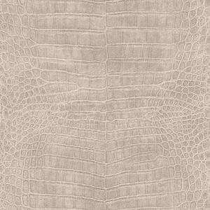 RASCH | Vliesová tapeta na stenu African Queen 751338 | 0,53 x 10,05 m | šedá