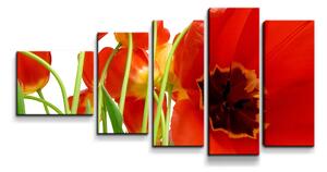 Sablio Obraz - 5-dílný Tulipány - 100x60 cm