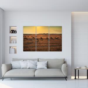 Obraz - panoráma krajiny na stenu (Obraz 120x80cm)