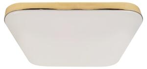 Stropné LED svietidlo Nemo, 1x LED 17w, 4000k, g