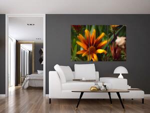 Obraz detailu kvety (Obraz 120x80cm)