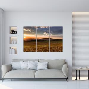 Obraz zapadajúceho slnka na poli (Obraz 120x80cm)
