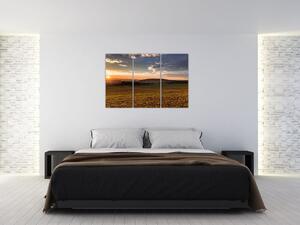 Obraz zapadajúceho slnka na poli (Obraz 120x80cm)