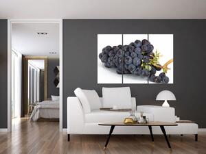 Obraz s hroznovým vínom (Obraz 120x80cm)