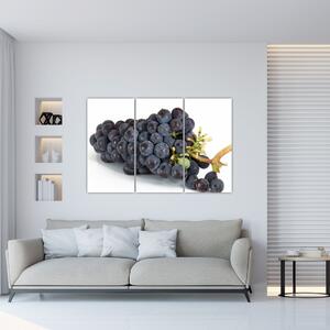 Obraz s hroznovým vínom (Obraz 120x80cm)