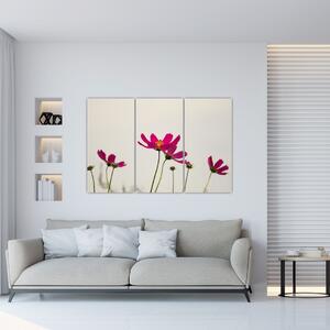 Obraz kvetín na stenu (Obraz 120x80cm)