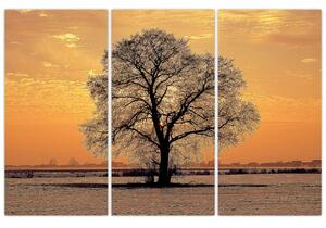 Obraz sa stromom (Obraz 120x80cm)