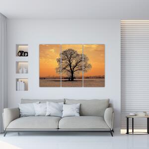 Obraz sa stromom (Obraz 120x80cm)
