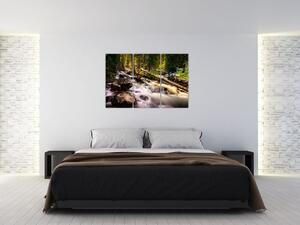 Obraz lesa na stenu (Obraz 120x80cm)