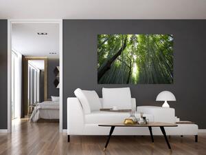 Obraz lesov (Obraz 120x80cm)