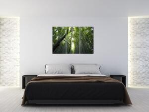 Obraz lesov (Obraz 120x80cm)