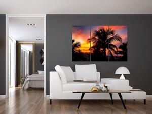Obraz palmy na stenu (Obraz 120x80cm)