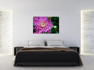 Obraz kvetu na stenu (Obraz 120x80cm)