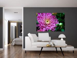 Obraz kvetu na stenu (Obraz 120x80cm)