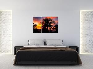 Obraz palmy na stenu (Obraz 120x80cm)