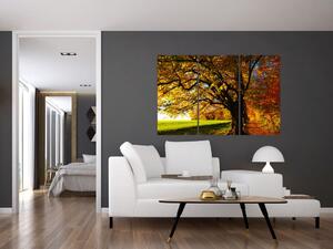 Obraz jesennej krajiny (Obraz 120x80cm)