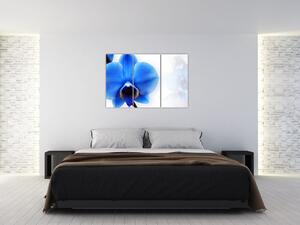 Obraz s orchideí (Obraz 120x80cm)