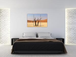 Obraz púšte (Obraz 120x80cm)