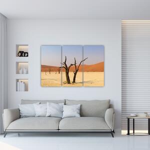 Obraz púšte (Obraz 120x80cm)