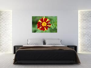 Obraz kvety na stenu (Obraz 120x80cm)