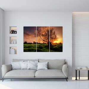 Západ slnka, obrazy (Obraz 120x80cm)