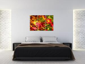 Jesenné lístie, obraz (Obraz 120x80cm)