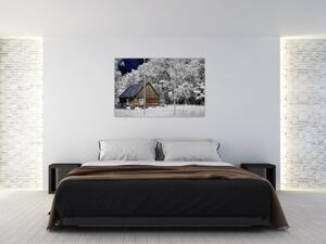 Chaloupka v zime, obrazy (Obraz 120x80cm)