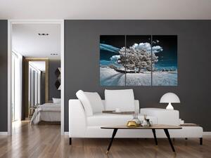 Strom v zime, obraz na stenu (Obraz 120x80cm)