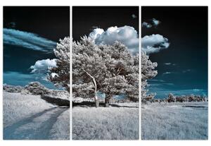 Strom v zime, obraz na stenu (Obraz 120x80cm)