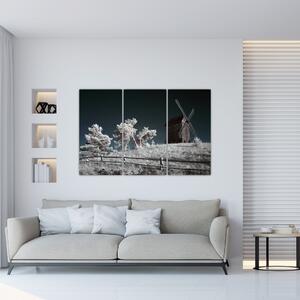 Veterný mlyn, obraz (Obraz 120x80cm)