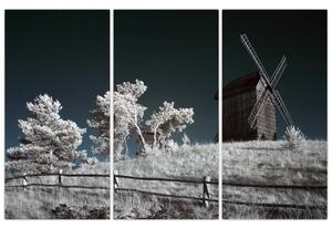 Veterný mlyn, obraz (Obraz 120x80cm)