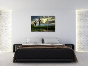 Letné mokrade - obraz (Obraz 120x80cm)