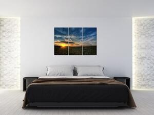 Západ slnka na poli - moderný obraz (Obraz 120x80cm)