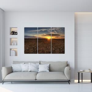 Západ slnka na poli - obraz na stenu (Obraz 120x80cm)