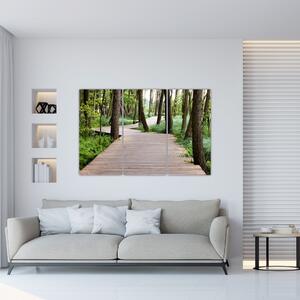Cesta v lese - obraz (Obraz 120x80cm)