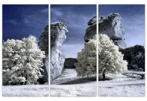 Zimná krajina - obraz do bytu (Obraz 120x80cm)
