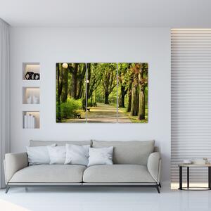 Cesta v parku - obraz (Obraz 120x80cm)