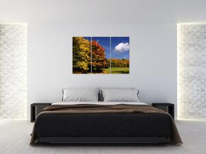 Jesenné stromy - obraz do bytu (Obraz 120x80cm)