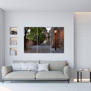 Ulica - obraz (Obraz 120x80cm)