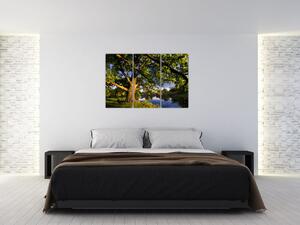 Obraz stromu (Obraz 120x80cm)