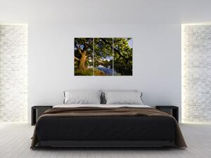 Obrázok stromu - moderné obrazy (Obraz 120x80cm)