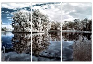 Zimná krajina - obrazy (Obraz 120x80cm)