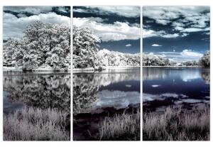 Zimná krajina - obraz (Obraz 120x80cm)