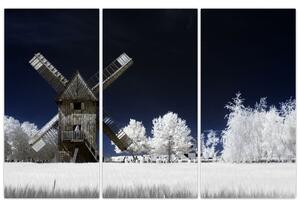 Veterný mlyn v zimnej krajine - obraz (Obraz 120x80cm)