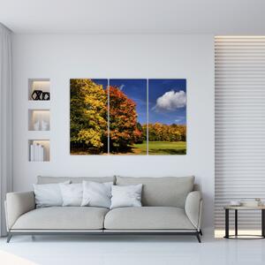 Jesenné stromy - moderný obraz (Obraz 120x80cm)