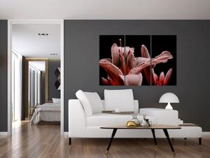 Detail kvety - obraz (Obraz 120x80cm)