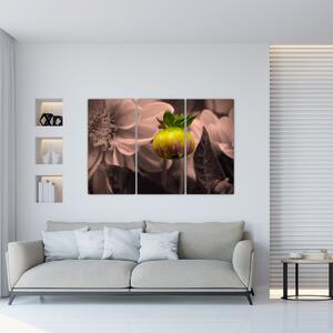 Obraz rastliny (Obraz 120x80cm)