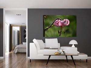Obraz kvety (Obraz 120x80cm)