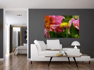 Obraz kvetu rastliny (Obraz 120x80cm)