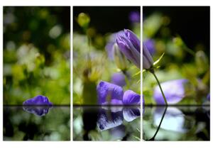Modrá kvetina - obraz (Obraz 120x80cm)
